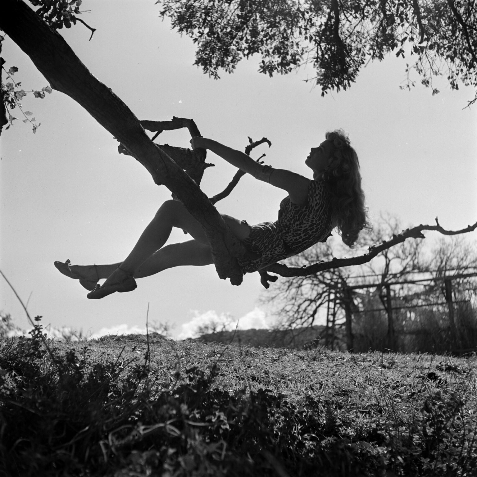 Country Music Awards: The Legacy of A.P. Carter and the Carter Family